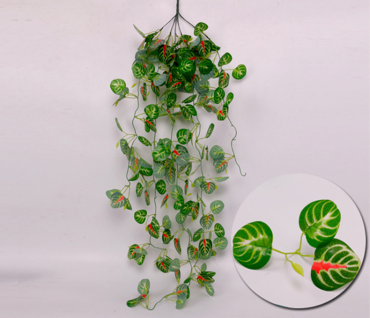 downLoadImg (12).jpg 